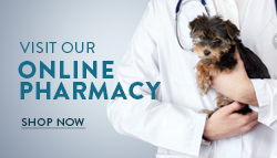 Online Pharmacy Button